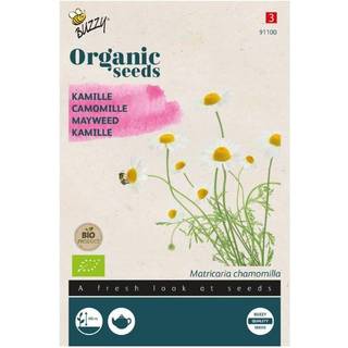 Buzzy Organic kamille, økologiske frø