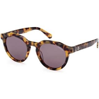 Guess Mand GU00063 53N Solbriller Acetat Havana Grå Rund Normal