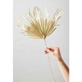 Studio About Paper Flower Palm Sand