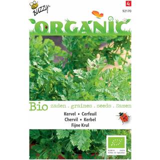 Buzzy Organic kørvel fin krøllet, økologiske frø