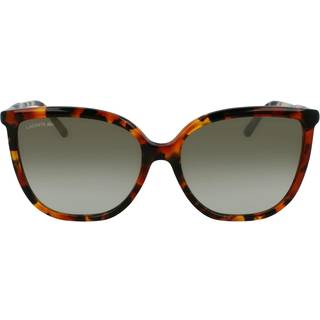 Lacoste Kvinde L963S 009 Solbriller Plast Havana Grøn Sommerfugl Normal Skygge