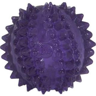 JW Bristl-ee Cactus Ball