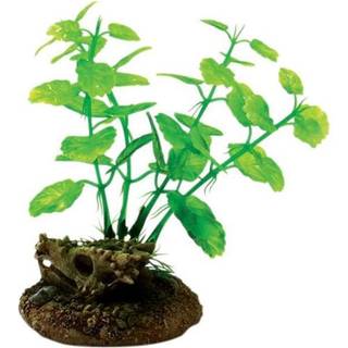 4FISH Skull and plants 6.5x6.3x11 cm