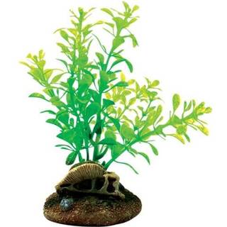 4FISH Skull and plants 6.5x6.3x13.3 cm