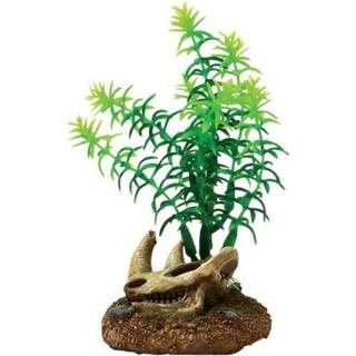 4FISH Skull and plants 6.5x6.3x11.5 cm