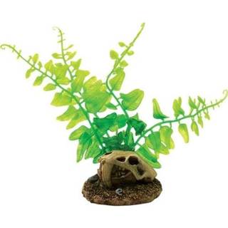 4FISH Skull and plants 6.5x6.3x13.3 cm