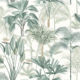 Arthouse Wallpaper King Palm 922908