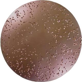 Carbide rondel, Ø200 mm, korn 36 - til f.eks. girafslibere fra ROKAMAT