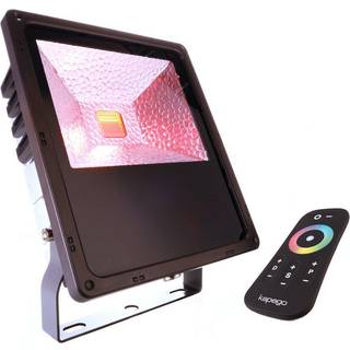 Stærk Flood Color RF II 60 RGB udendørs LED-spot