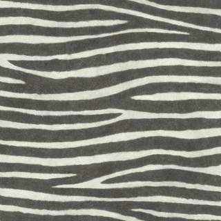 Albany Wallpaper Zebra Stripes 751727