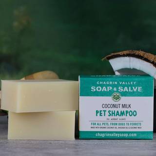 Coconut Milk Pet Shampoo: økologisk Shampoobar til kæledyr uden duft