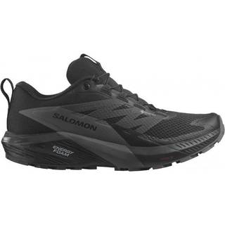 Salomon Sense Ride 5 GTX, black/magnet-42 / UK 8