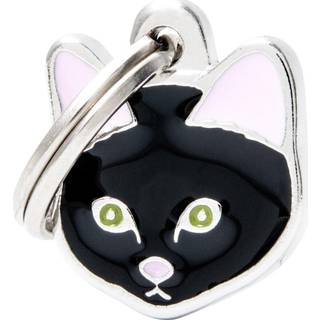 MyFamily Cats - European Shorthair - Sort
