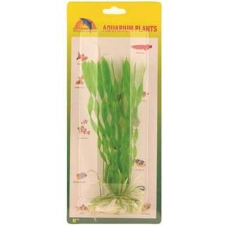 Meadow Vallisneria spiralis plastic 20 cm