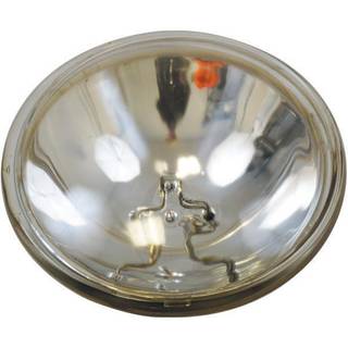 Parabol Night Eye 12 V