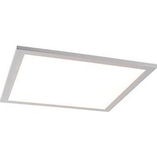 Stål loftslampe 40 cm inkl. LED og fjernbetjening - Liv