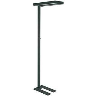 LED-gulvlampe MAULjaval, sort, 196 cm, dæmpbar fod