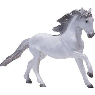 Mojo Lisitano Hest