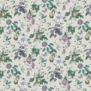 Albany Wallpaper Sierra Floral FD43059