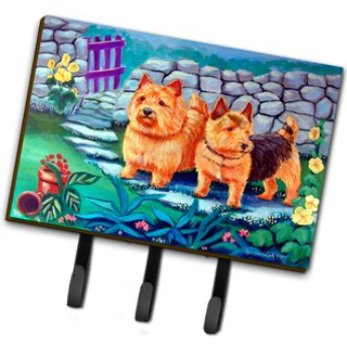 """" Caroline's Treasures 7520th68 Norwich Terrier Leash Holder eller Key Hook Large Multicolor """"