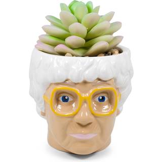 Golden Girls Sophia Face Mini Ceramic Planter Decor | Officielt tv -show Collectible | Lille blomsterpotte til indend?rs planter inkluderer kunst