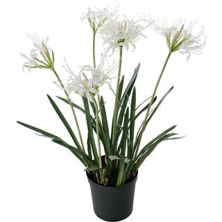 Mr Plant, Nerine Potteplante 80 cm Hvid