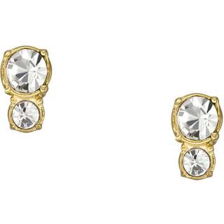 Earrings - Gold - --