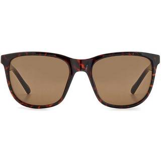 Fossil FOS 3145/S 086/70 55 Solbriller Mænd Tortoiseshell - Dark Tortoise - 55mm