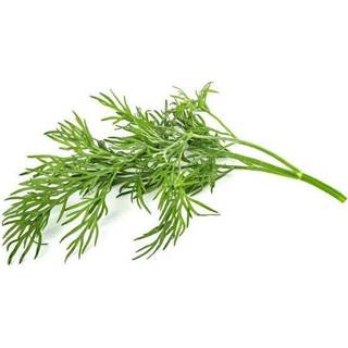 Click & Grow Click and Grow Smart Garden Refill 3-pack - Dill