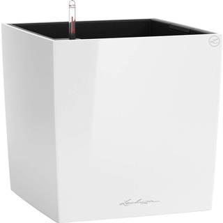 CUBE - Hvid