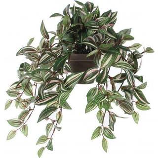 Tradescantia kunstig hængeplante