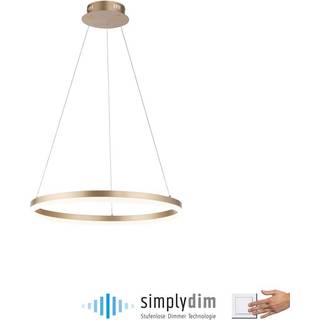 Paul Neuhaus LED-hængelampe Titus, Ø 60 cm, messing, dæmpbar