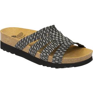 Scholl Saiki Sort