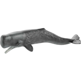 14764 Schleich Sperm whale