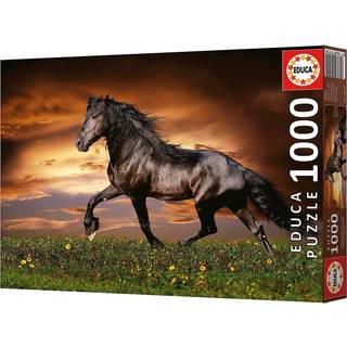 Educa 1000 Hest i Trav