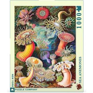 New York Puzzle Company - Vintage Images Sea Anemones - 1000 Piece Jigsaw Puzzle For Voksne af Ernst Haeckel