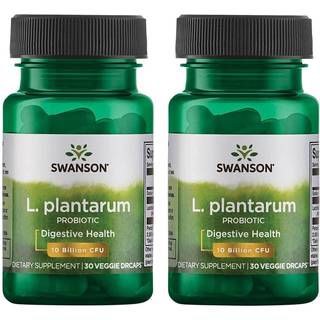 L. Plantarum Indre Tarmstøtte - 30 vcaps