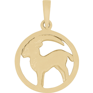 Stjernetegn i 8 karat guld - STENBUKKEN. 12 mm