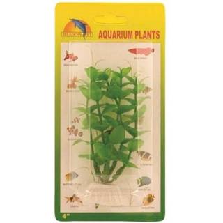 Meadow Green Ludwigia plastic 10 cm.