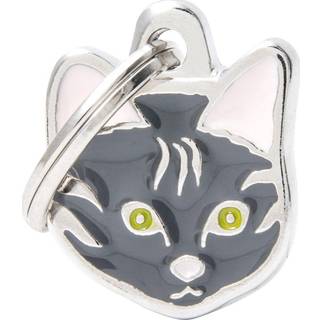 MyFamily Cats - European Shorthair - Tabby