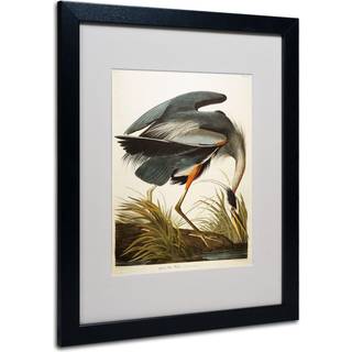 Varemærke fin kunst stor blå hegre mated kunstværk af John James Audubon med sort ramme 16 med 20-tommer