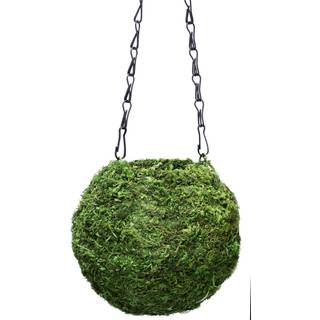 Supermoss (29348) Kokedama Planter 6 """" Frisk gr?n