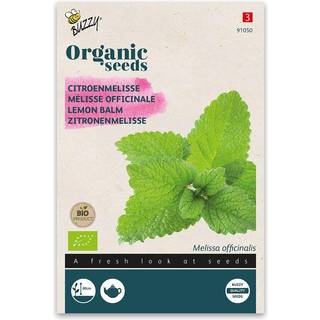 Buzzy Organic citronmelisse, økologiske frø