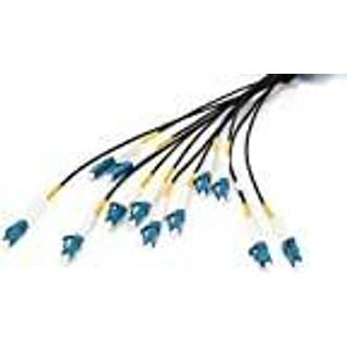 DIGITUS breakout cable - 75 m - black - Sort - 75 meter