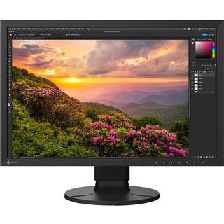 EIZO 24" COLOREDGE CS2400S