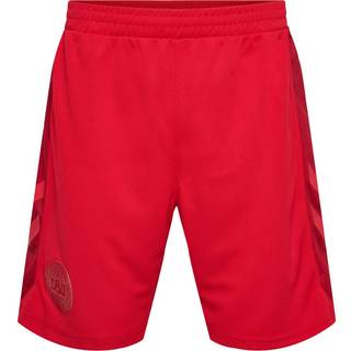 Danmark Hjemmebane Landsholdsshorts 22