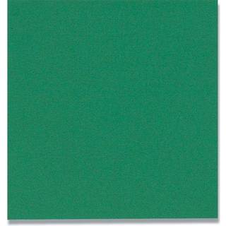 Gastro kaffeserviet 100% nyfiber 2-lags 1/4 fold 24x24cm grøn