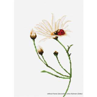 Lucas-S-kommunikation t?llede Cross Stitch Kit Pack med 1