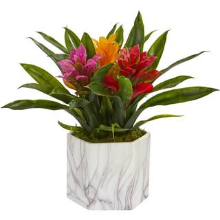 N?sten naturlig bromeliad kunstig marmor f?rdig vase silkeplanter forskellige