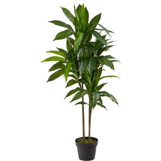 Nsten naturlig 48"""" Dracaena Silke Plant (Real Touch) Grn
